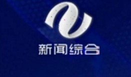 株洲今天爆料新闻视频,揭秘XX事件背后真相